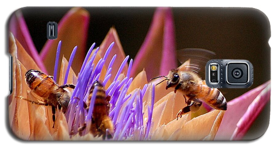 Insects Galaxy S5 Case featuring the photograph Bees in the Artichoke by AJ Schibig
