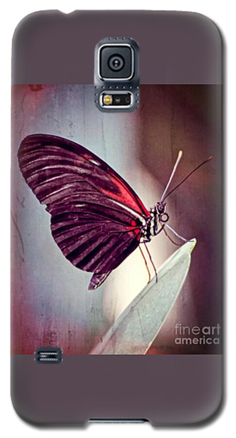 Butterfly Galaxy S5 Case featuring the photograph Butterfly #2 by Savannah Gibbs