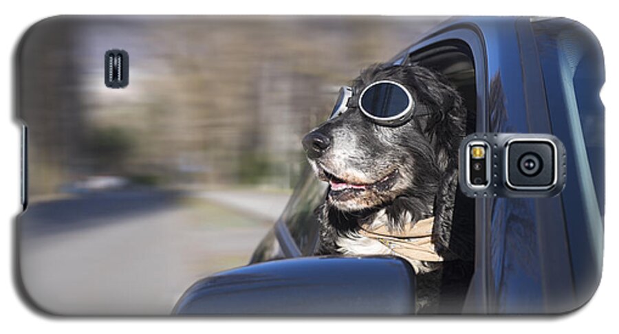 Dog Galaxy S5 Case featuring the photograph Happy dog #3 by Mats Silvan