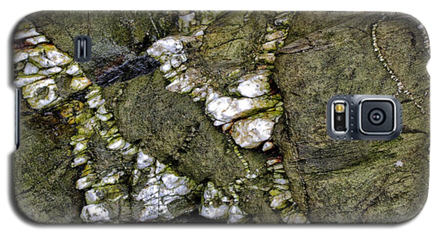 Stone Galaxy S5 Case featuring the photograph Rock Art #3 by Shirley Mitchell