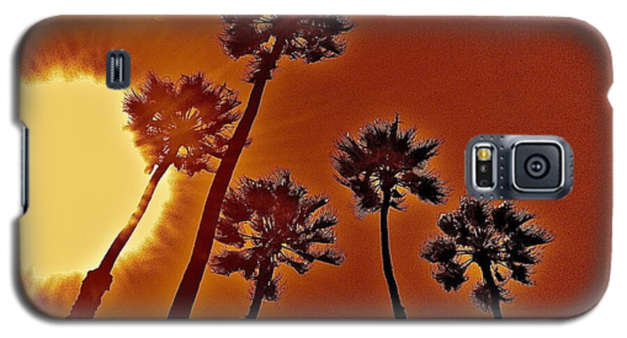 Palm Trees Galaxy S5 Case featuring the photograph 4 Palms N Sun by Joe Burns