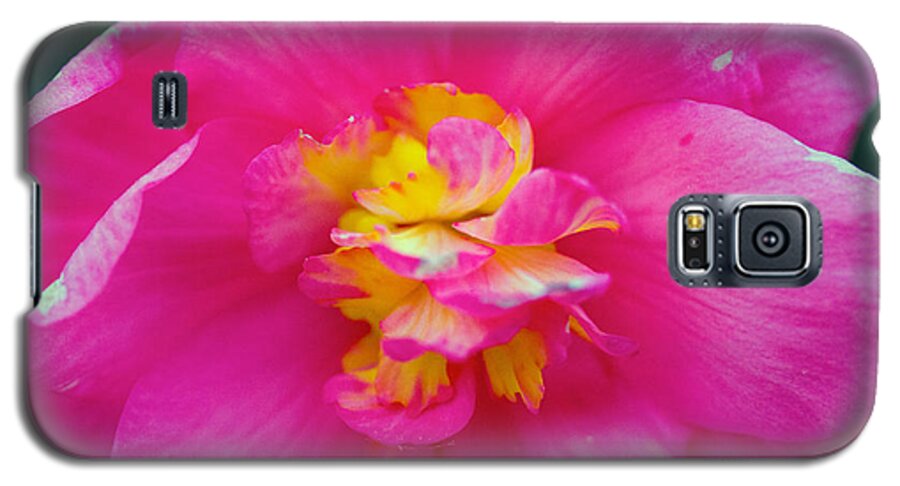 Pink Flower Galaxy S5 Case featuring the photograph Pink flower #4 by Susan Jensen