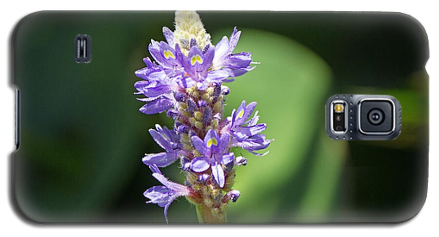 Purple Flower Galaxy S5 Case featuring the photograph Purple flower #4 by Susan Jensen