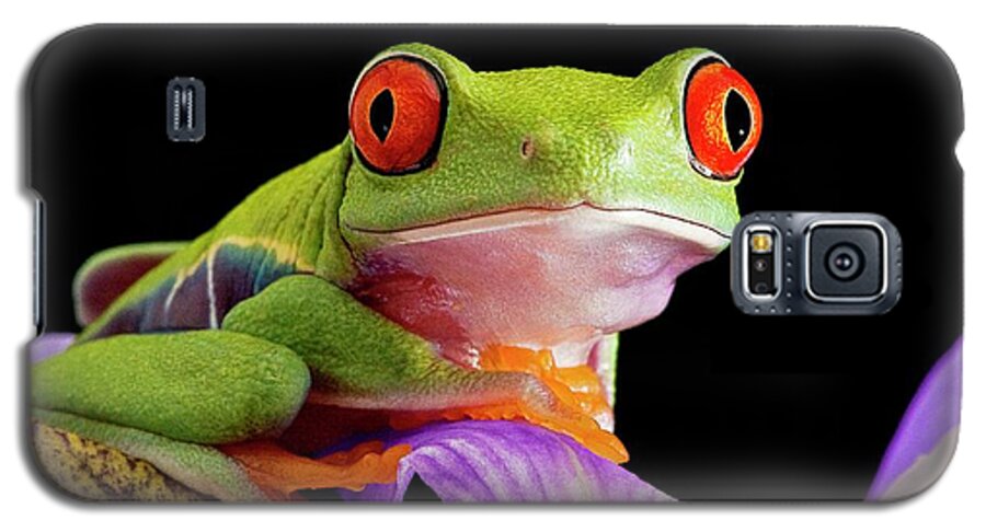 Agalychnis Callidryas Galaxy S5 Case featuring the photograph Red-eyed Tree Frog #4 by Linda Wright