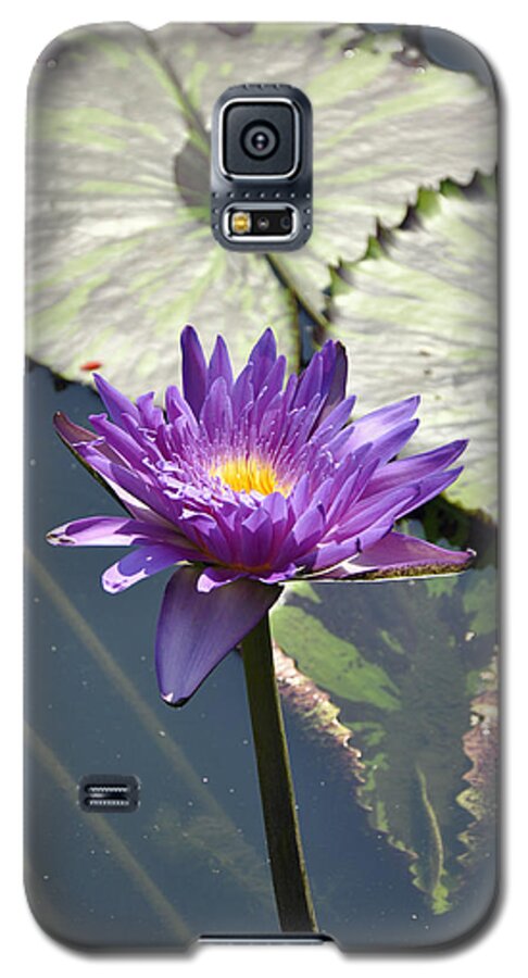 Water Lily Galaxy S5 Case featuring the photograph Water Lily #4 by Dottie Branch