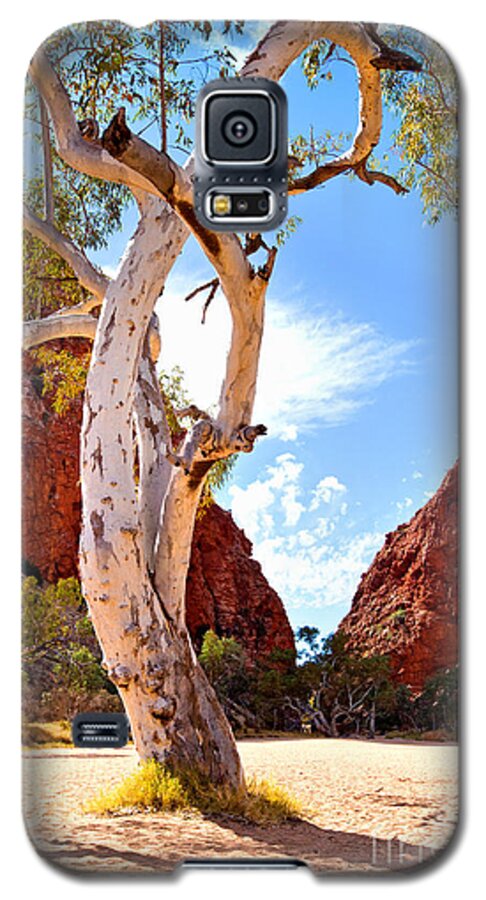 Simpsons Gap Central Australia Landscape Outback Water Hole West Mcdonnell Ranges Northern Territory Australian Landscapes Ghost Gum Trees Galaxy S5 Case featuring the photograph Simpsons Gap #7 by Bill Robinson