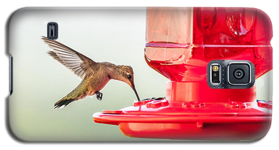 Hummingbirds Galaxy S5 Case featuring the photograph Hummingbirds #9 by Victor Culpepper