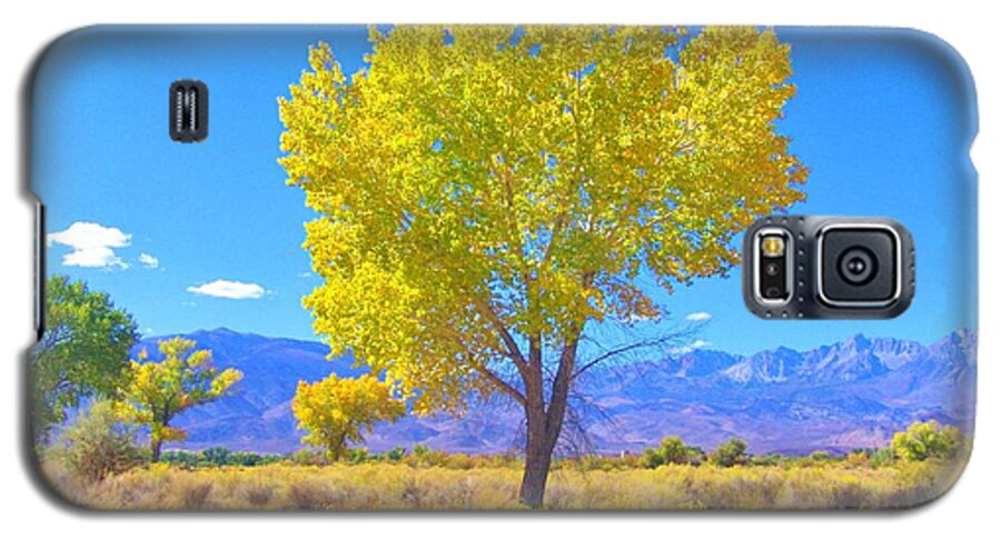 Sky Galaxy S5 Case featuring the photograph A Desert Autumn by Marilyn Diaz