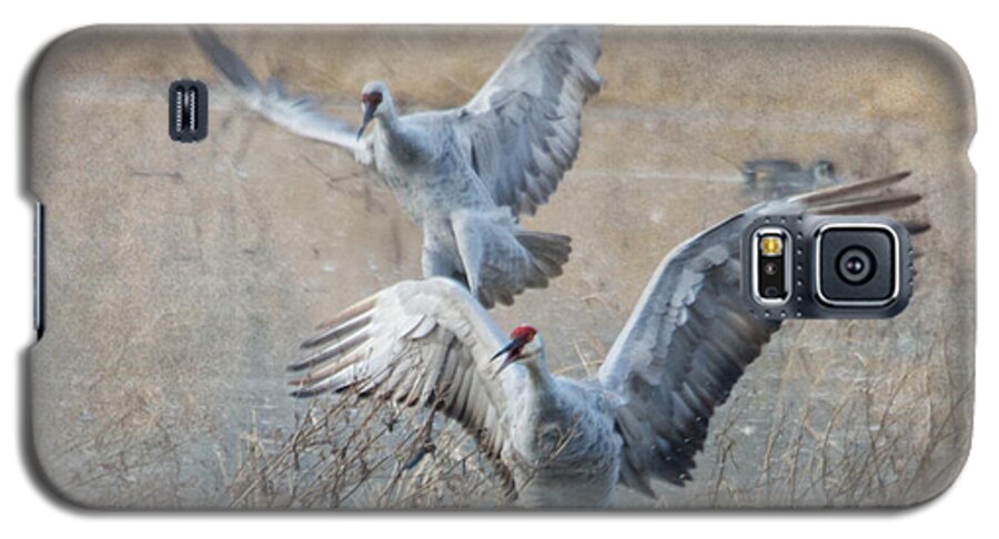 Cranes Galaxy S5 Case featuring the photograph A Grand Entrance by Angie Vogel