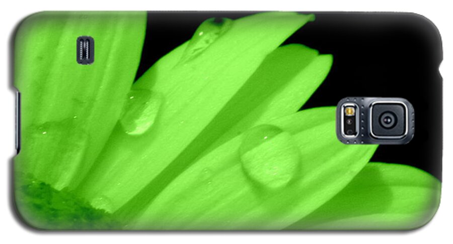 A Little Lime On Twist Galaxy S5 Case featuring the photograph A Little Lime on Twist by Edward Smith