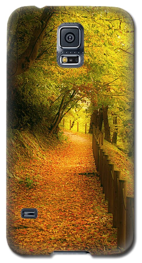 Fall Galaxy S5 Case featuring the photograph A path well chosen by Tim Ernst