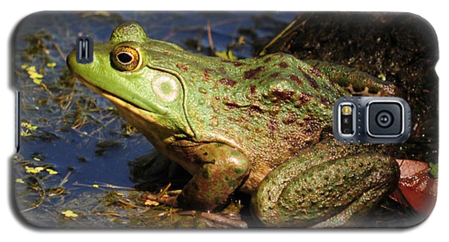 Frog Galaxy S5 Case featuring the photograph A Prince Of A Frog by Kathy Baccari