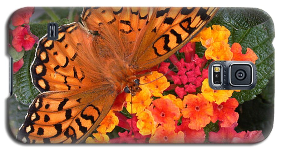 Butterfly Galaxy S5 Case featuring the photograph A Quick Snack by Shane Bechler