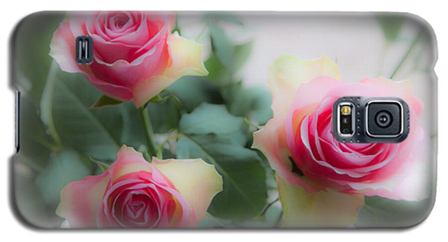 Three Roses Galaxy S5 Case featuring the photograph A rose and a rose and a rose by Casper Cammeraat