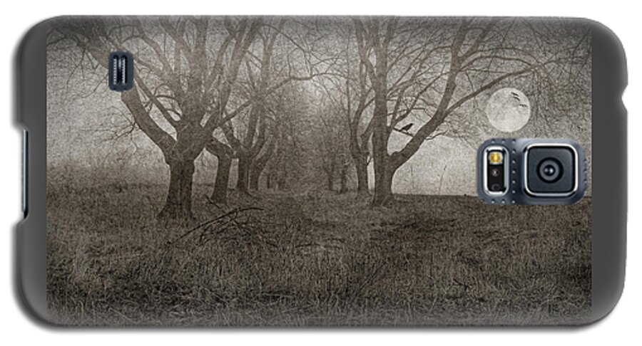 Full Moon Galaxy S5 Case featuring the photograph A Scene From Annandale by Pat Abbott