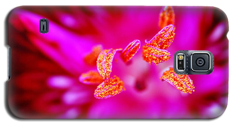 A Galaxy S5 Case featuring the photograph A Splash Of Colour by Wendy Wilton