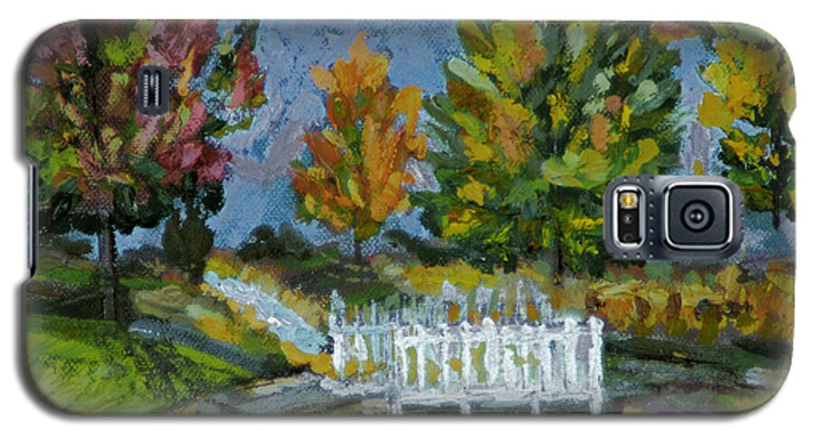 Tree Steam River Bridge Path Walk Hike Galaxy S5 Case featuring the painting A Walk In The Park by Michael Daniels