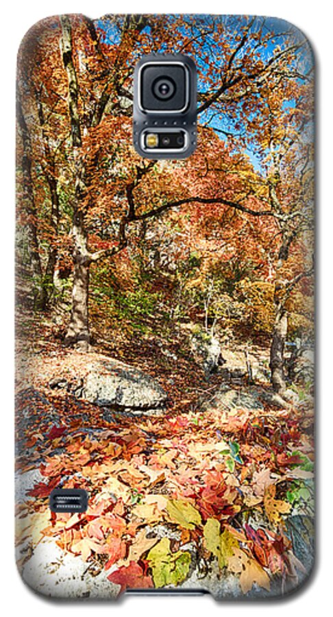 Lost Maples Galaxy S5 Case featuring the photograph A walk through the Maple Trail by Silvio Ligutti