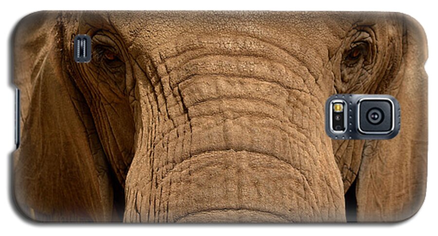Elephant Galaxy S5 Case featuring the photograph African Elephant by Nadalyn Larsen