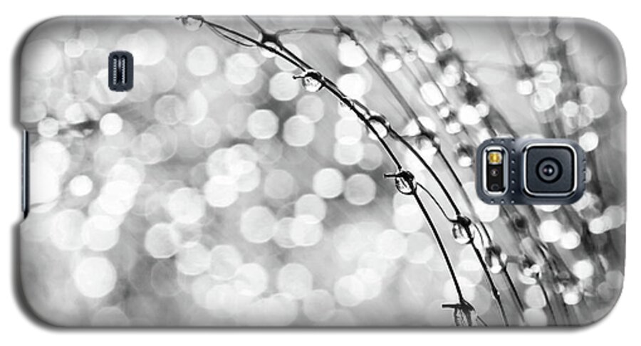 Macro Galaxy S5 Case featuring the photograph After The Rain by Theresa Tahara