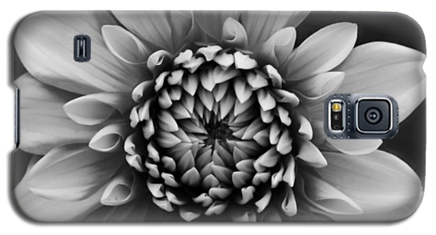 Dahlia Galaxy S5 Case featuring the photograph Ala Mode Dahlia In Black and White by Jeanette C Landstrom