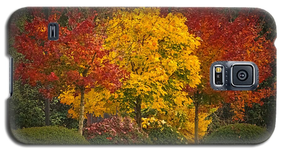 Autumn Galaxy S5 Case featuring the photograph All Lit Up by Ronda Broatch