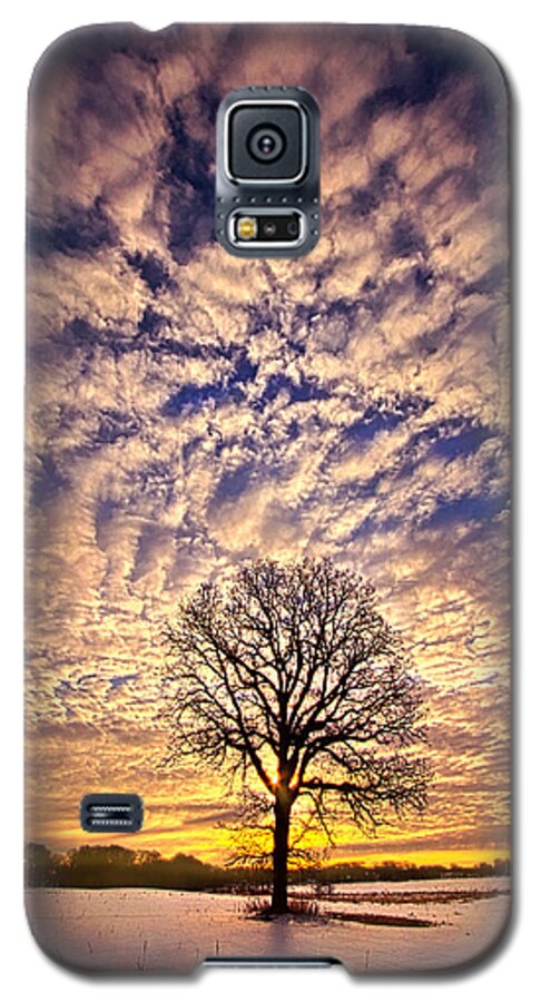 Tree Galaxy S5 Case featuring the photograph All That Still Matters by Phil Koch