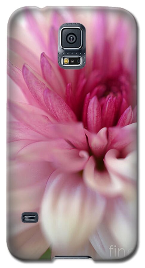 Chrysanthemum Galaxy S5 Case featuring the photograph Alluring by Deb Halloran