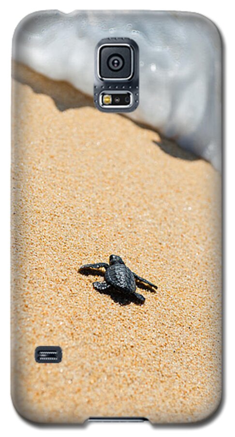 Beach Galaxy S5 Case featuring the photograph Almost Home by Sebastian Musial