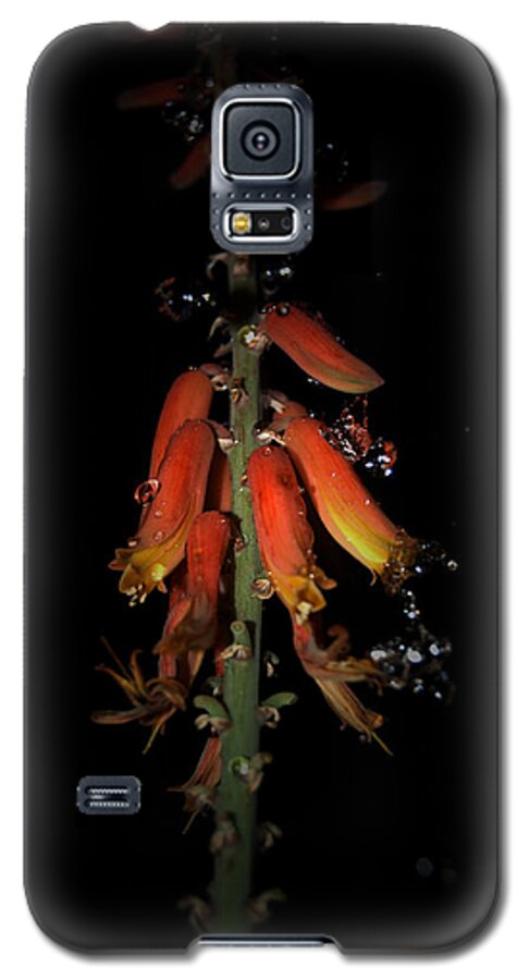 Raindrops Aloe Flower Black Orange Green Galaxy S5 Case featuring the photograph Aloe Flower by Leticia Latocki