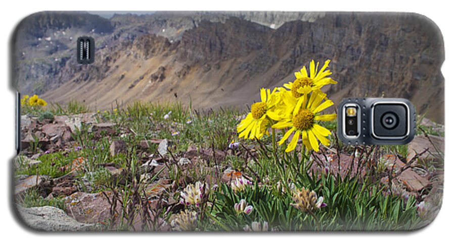 Colorado Galaxy S5 Case featuring the photograph Alpine Flowers by Aaron Spong