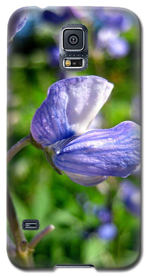 Lupine Galaxy S5 Case featuring the photograph Alpine Lupine by Kathy Bassett