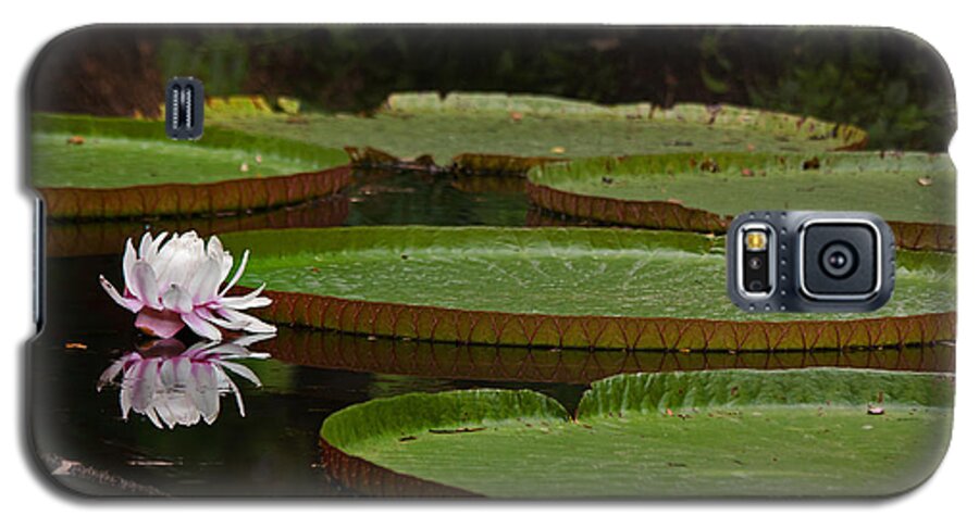 Amazon.lily Galaxy S5 Case featuring the photograph Amazon Lily Pad by Farol Tomson