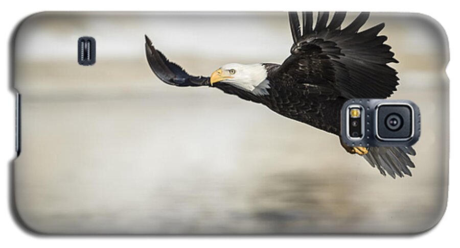 American Bald Eagle Galaxy S5 Case featuring the photograph American Bald Eagle 2015-22 by Thomas Young