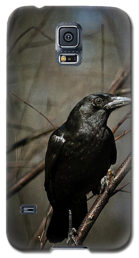 Crow Galaxy S5 Case featuring the photograph American Crow by Lois Bryan
