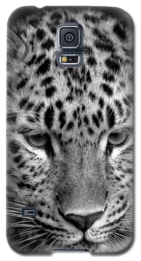 Animal Galaxy S5 Case featuring the photograph Amur Leopard in Black and White by Chris Boulton