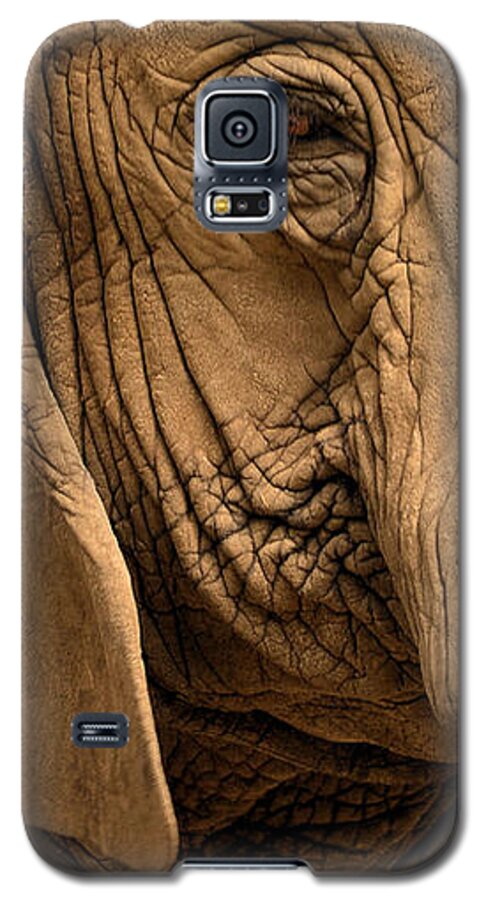 Elephant Galaxy S5 Case featuring the photograph An Elephant's Eye by Nadalyn Larsen