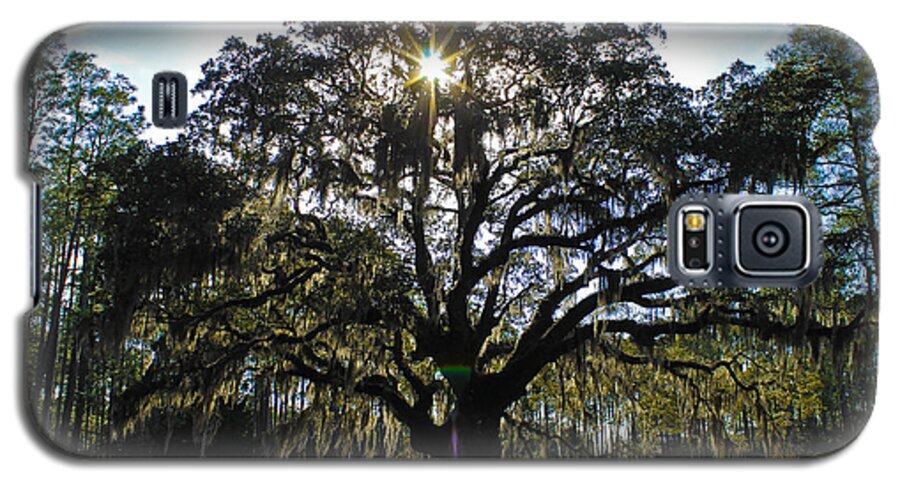 Tree Galaxy S5 Case featuring the photograph An old oak tree by Jessica Brown