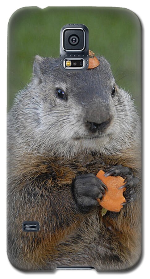 Groundhog Galaxy S5 Case featuring the photograph And have YOU looked in the mirror lately by Paul W Faust - Impressions of Light