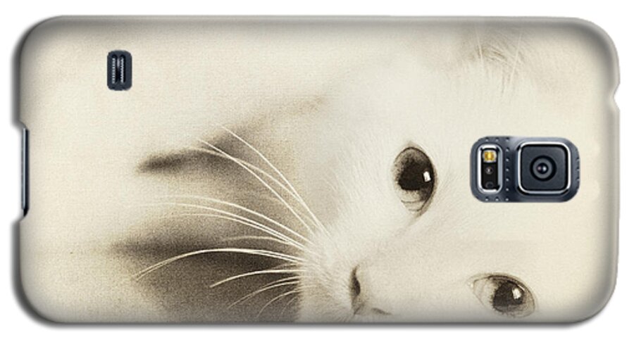Cat Galaxy S5 Case featuring the photograph Angel Baby by Pam Holdsworth