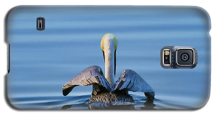 Brown Pelican Galaxy S5 Case featuring the photograph Angel Wings by Oscar Alvarez Jr