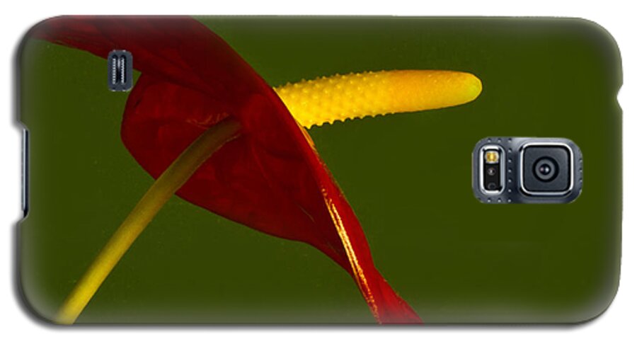 Anthurium Galaxy S5 Case featuring the photograph Anthurium by Bill Barber