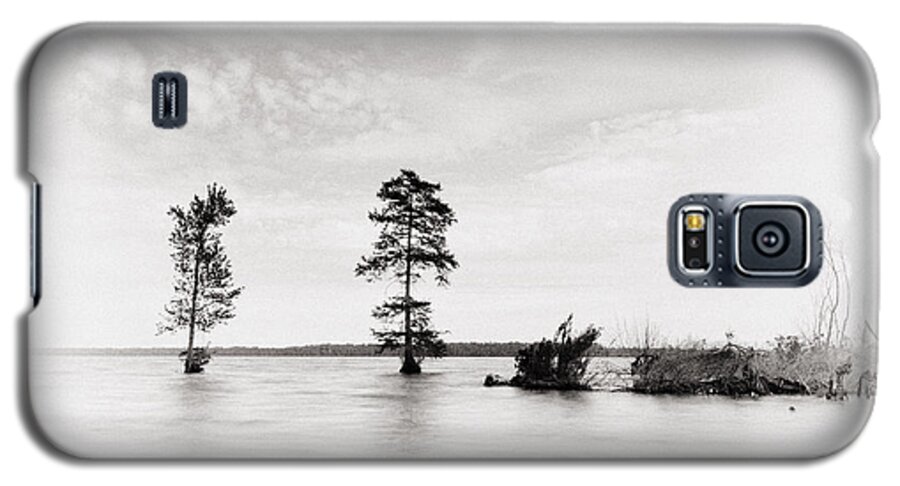 Tree Galaxy S5 Case featuring the photograph Apart by Alan Raasch