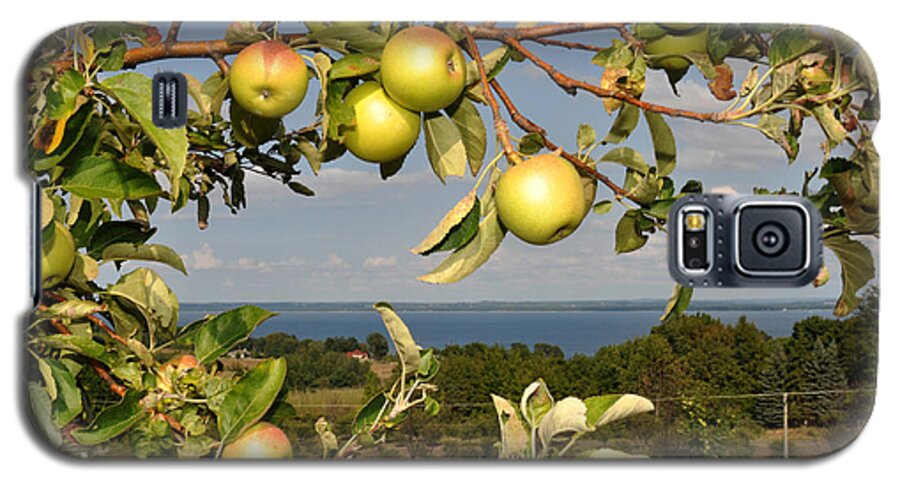 Scenic Lake Michigan Galaxy S5 Case featuring the photograph Apples over Grand Traverse Bay by Diane Lent