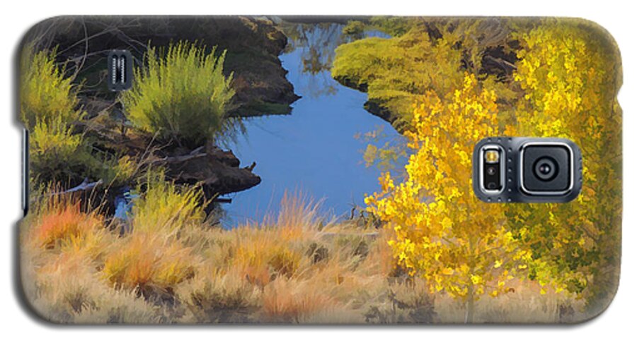 Aspen Galaxy S5 Case featuring the digital art Aspen and Beaver Channel by L J Oakes