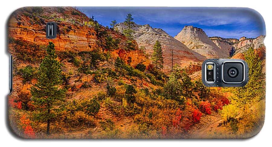Zion Galaxy S5 Case featuring the photograph Autumn Arroyo by Greg Norrell