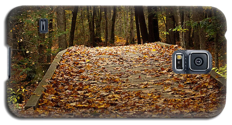 Autumn Bridge Galaxy S5 Case featuring the photograph Autumn Bridge by Kirkodd Photography Of New England