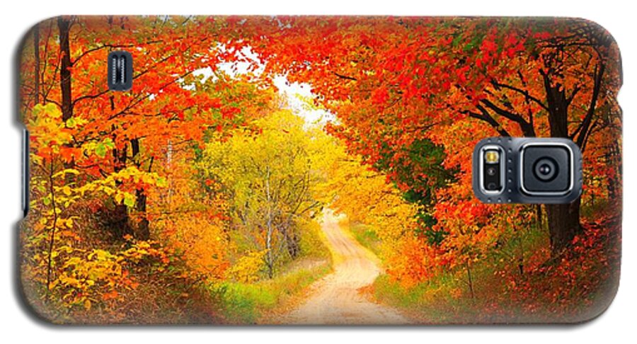 Autumn Galaxy S5 Case featuring the photograph Autumn Cameo 2 by Terri Gostola
