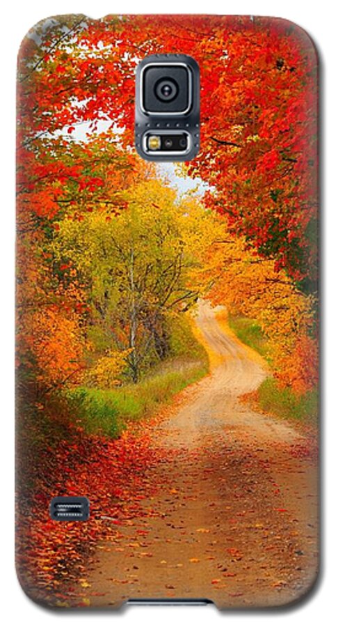 Red Galaxy S5 Case featuring the photograph Autumn Cameo by Terri Gostola