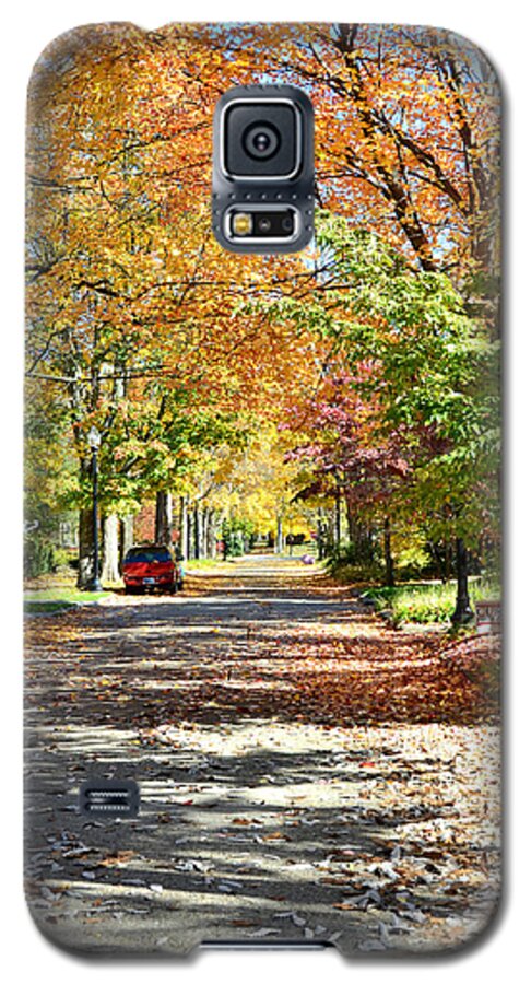 Autumn Galaxy S5 Case featuring the photograph Autumn Canopy by Andrea Platt